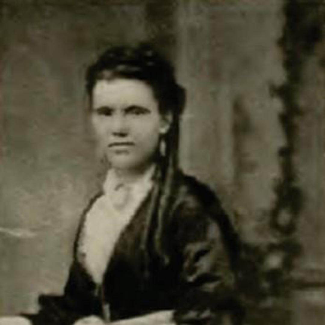 Ann Howell (1840 - 1916) Profile